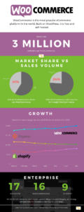 WooCommerce Statistics Infographic